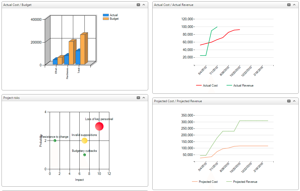 actual cost/budget, actual cost/actual revenue, project risks, project cost/projected revenue