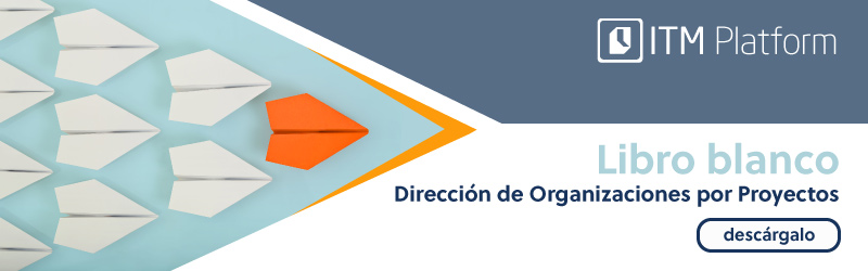 Descarga el libro blanco: Dirección de organizaciones por proyectos