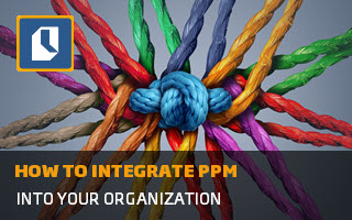 Cómo integrar project management into your organization
